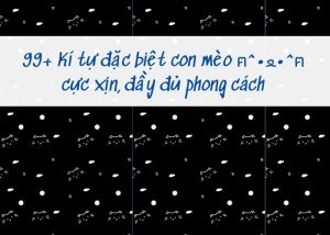 mèo kí tự đặc biệt